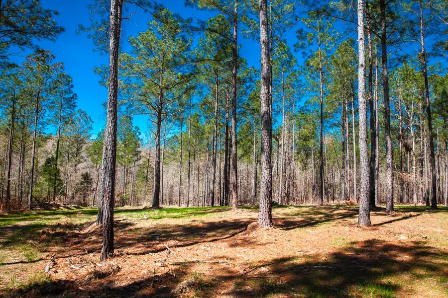 00 Mt. Zion Church Road, Lincolnton, GA 30817 - #3