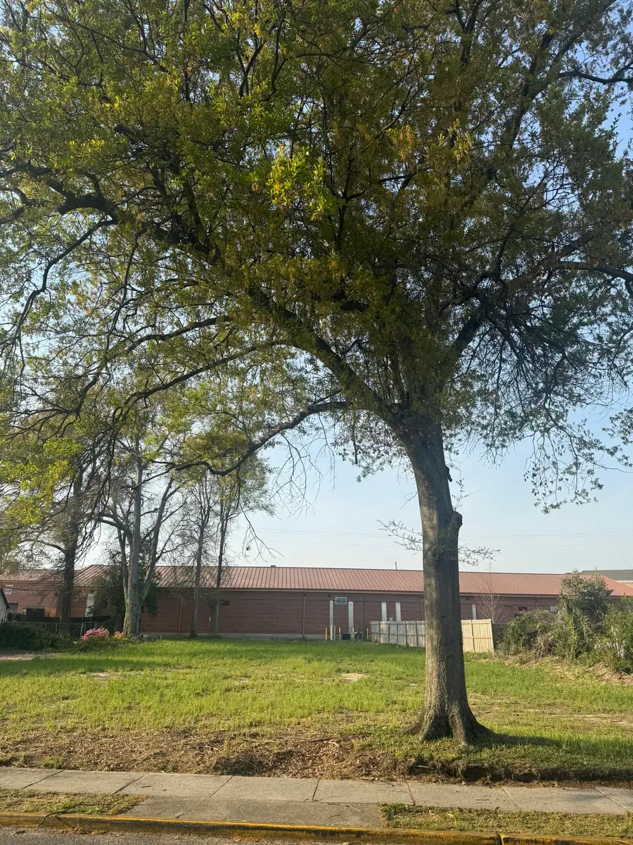 2471 Mcdowell Street, Augusta, GA 30904 - #3