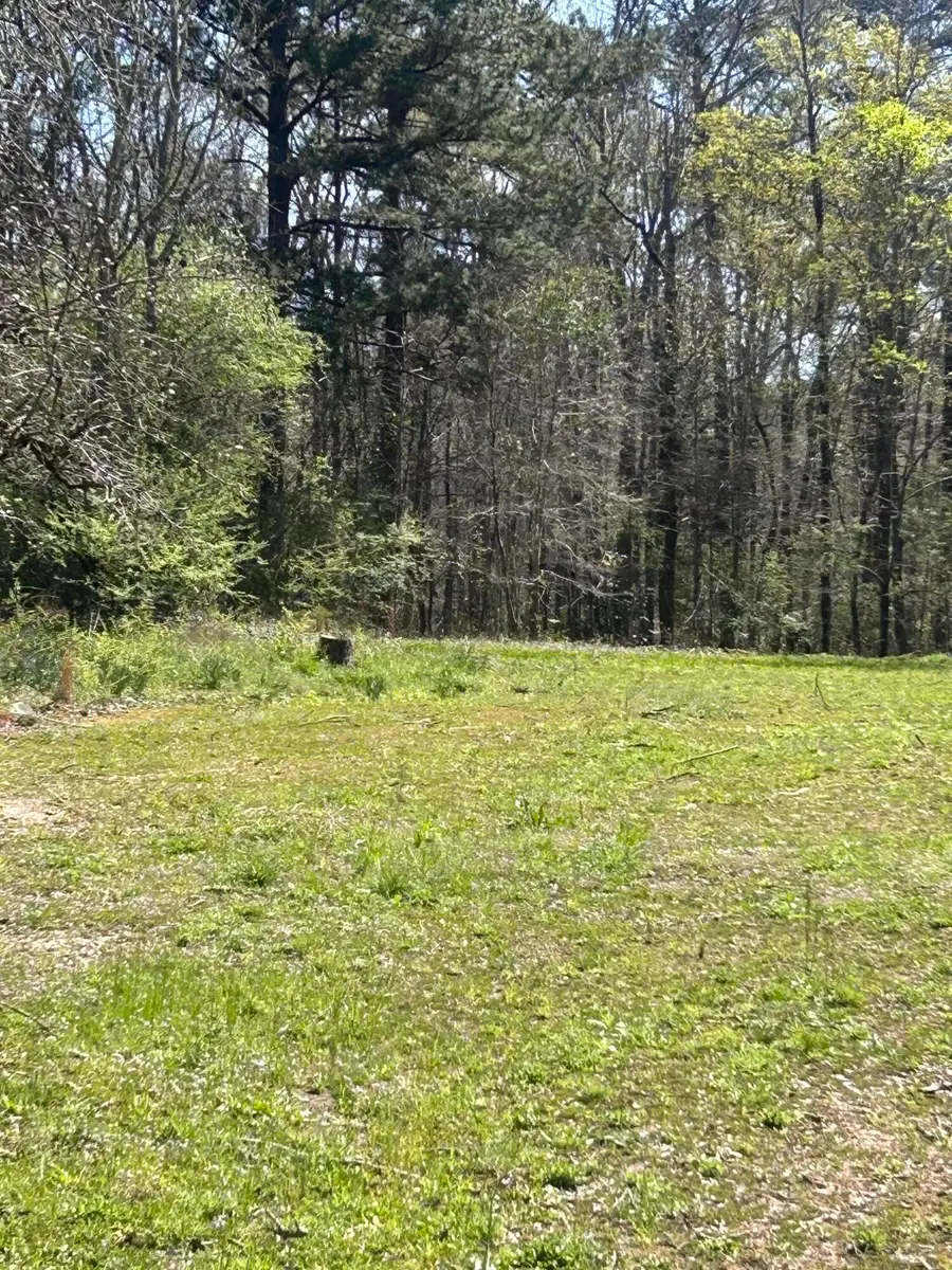 5824 NE Lincolnton Road, Thomson, GA 30824 - #3