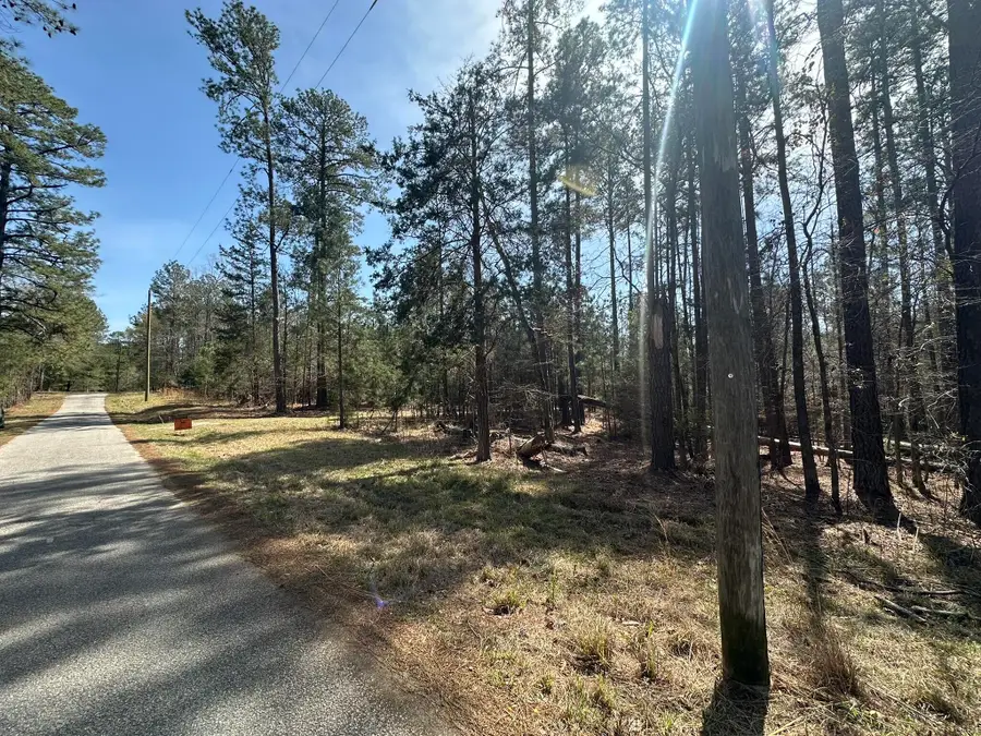 1035 Seminole Drive, Lincolnton, GA 30817 - #3