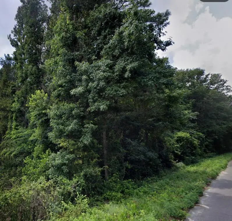 41a Bradleyville Road, North Augusta, SC 29841 - #3