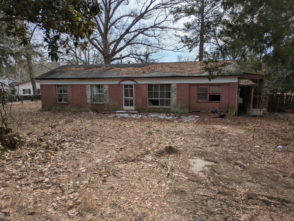 231 Holley Street, Wagener, SC 29164 - #1