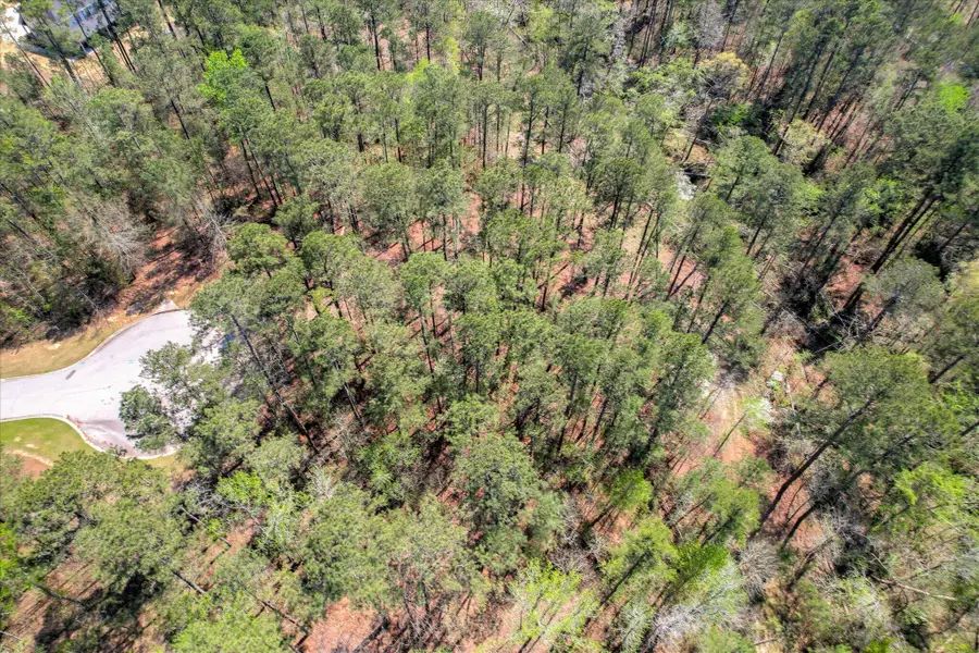 Lot O-033 Post Office Court, North Augusta, SC 29860 - #3