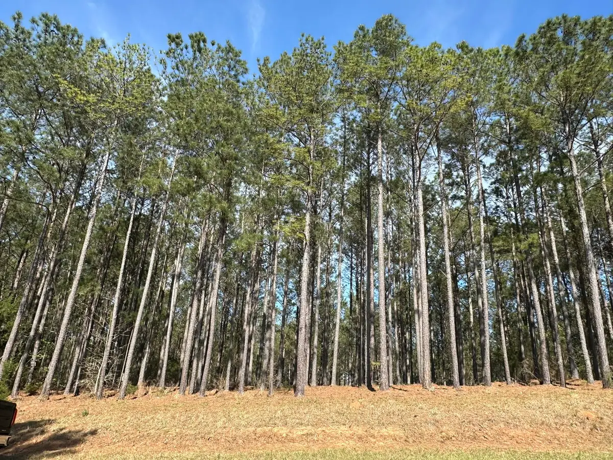 Lot 65 Maiden Cane Way, Lincolnton, GA 30817 - #1