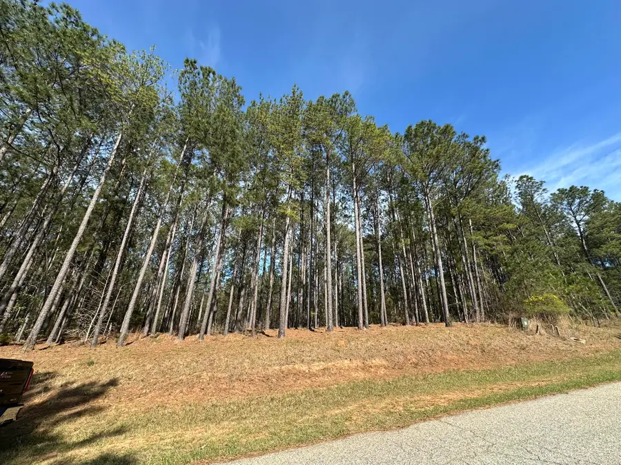 Lot 65 Maiden Cane Way, Lincolnton, GA 30817 - #2