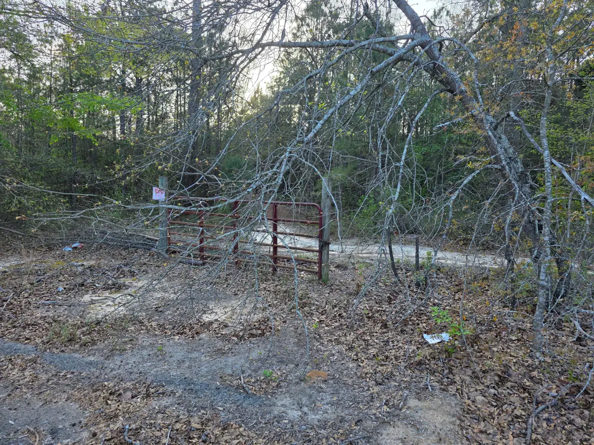 2797 Raborn Road, Hephzibah, GA 30815 - #1