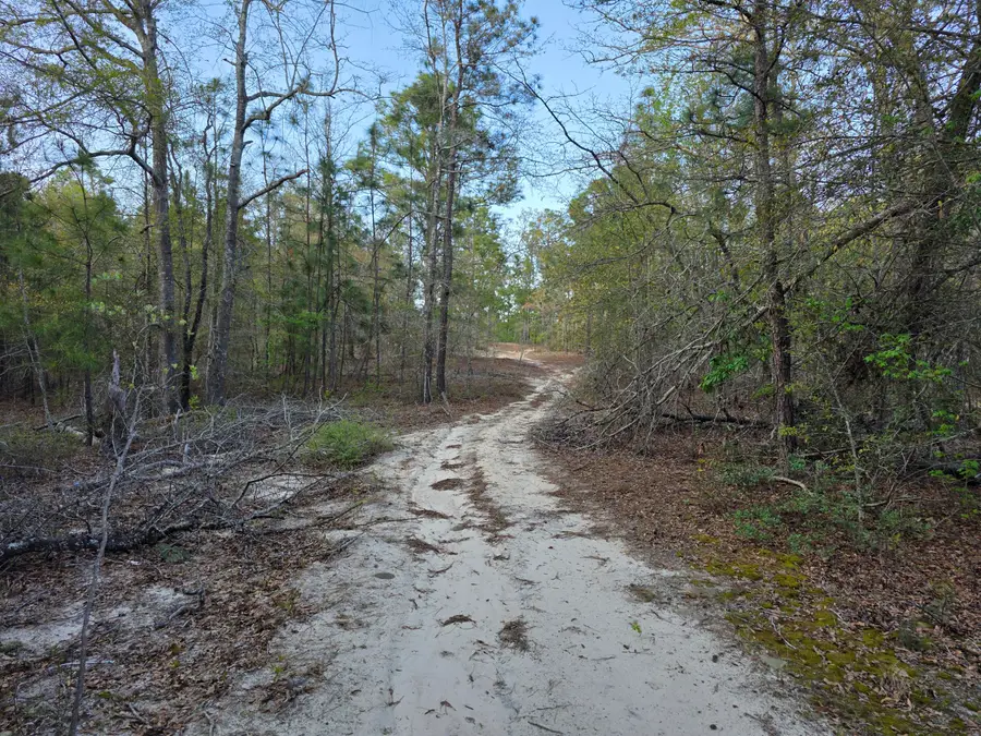 2797 Raborn Road, Hephzibah, GA 30815 - #3