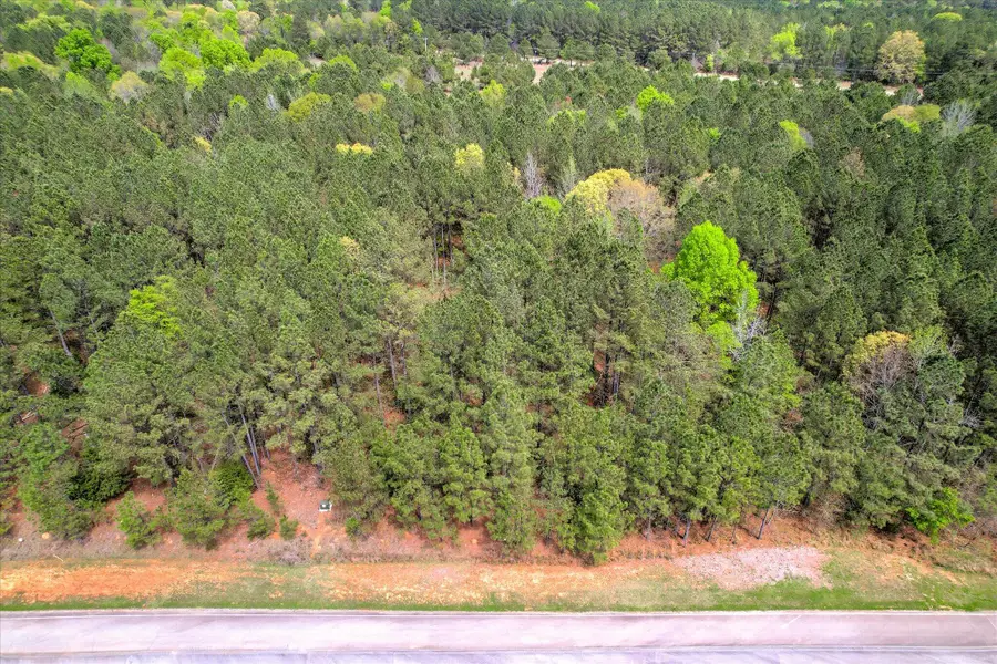 1048 Longleaf Way, Lincolnton, GA 30817 - #2