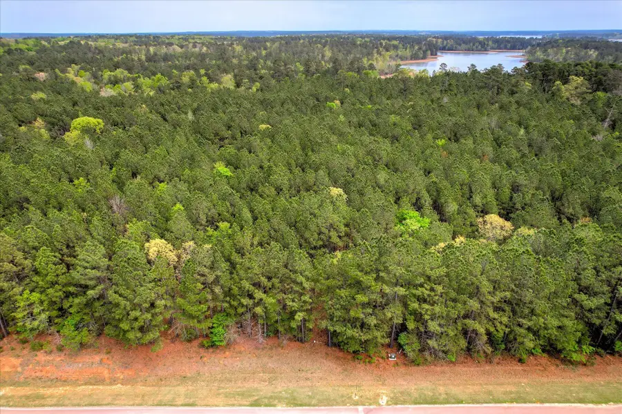 1066 Clinton-williams Road, Lincolnton, GA 30817 - #2