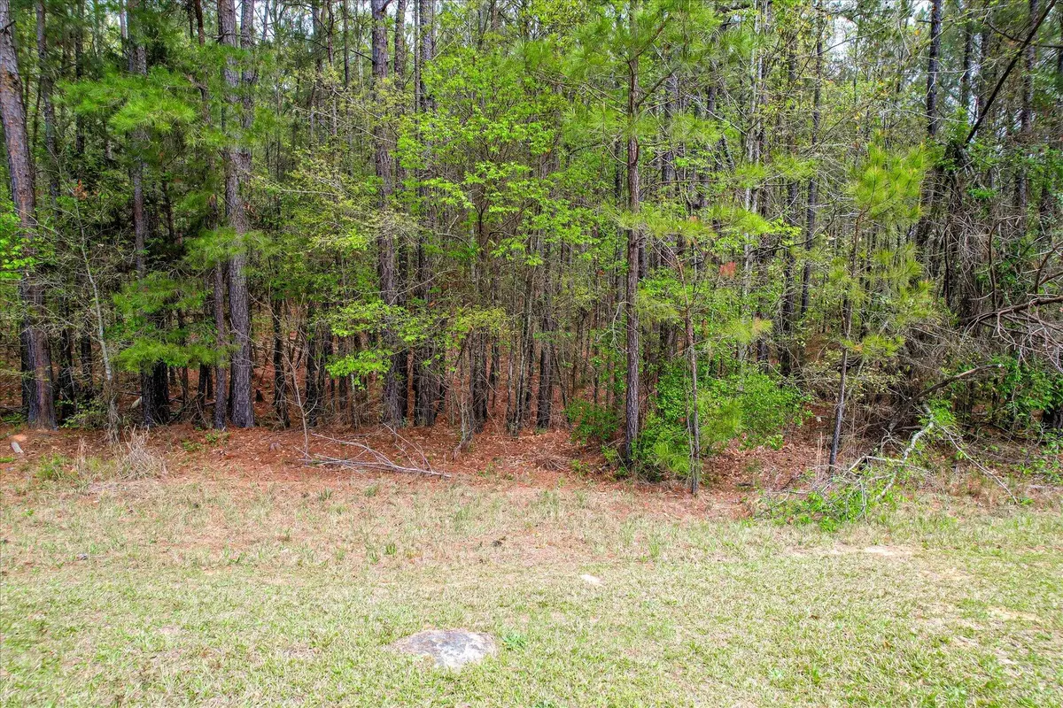1078 Clinton-williams Road, Lincolnton, GA 30817 - #1