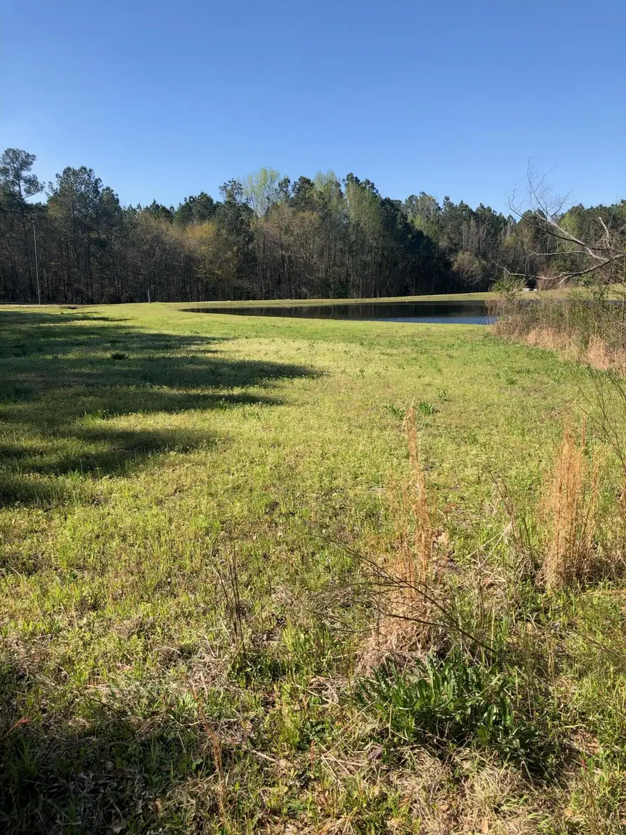 4.17 Acres Starr Hinson Road, Thomson, GA 30824 - #3