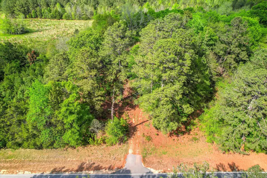 6995 Cobbham Road, Appling, GA 30802 - #3