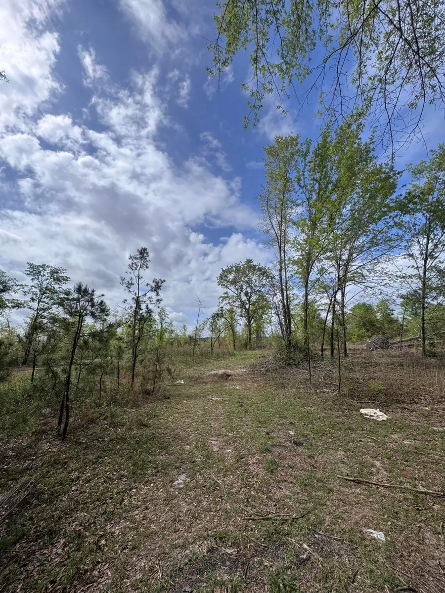 1508 Hephzibah - Mcbean Road, Hephzibah, GA 30815 - #2