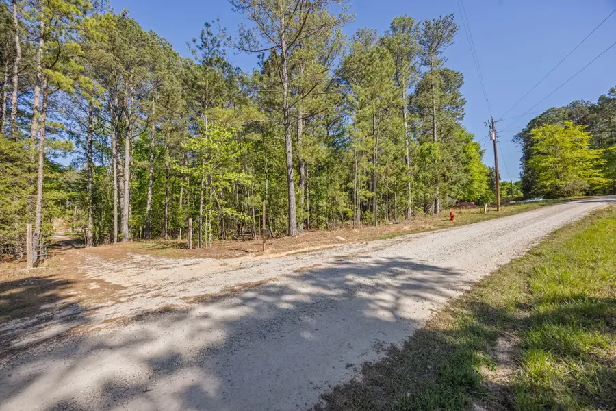 1060 Sims Road, Lincolnton, GA 30817 - #2
