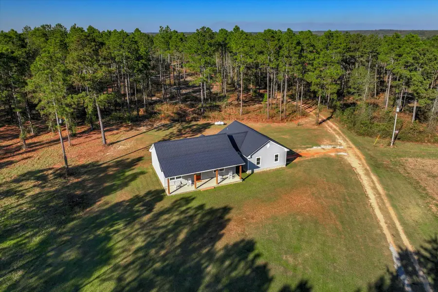10596 Sand Valley Road, Avera, GA 30803 - #3