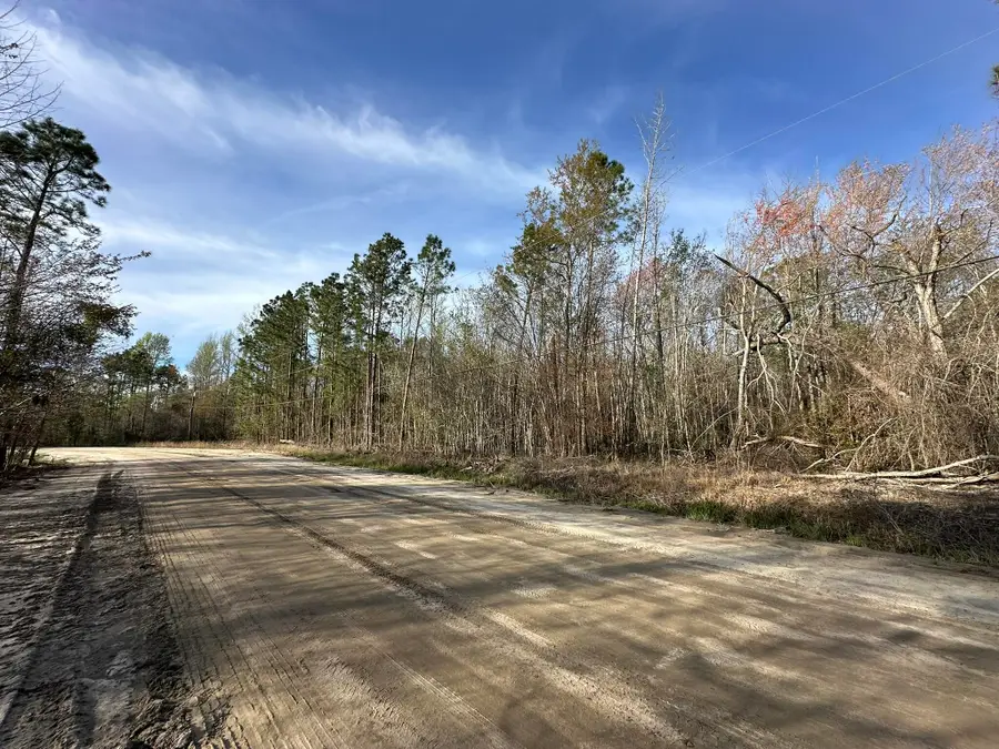 Lot 12 Robin Boulevard, Swainsboro, GA 30401 - #2