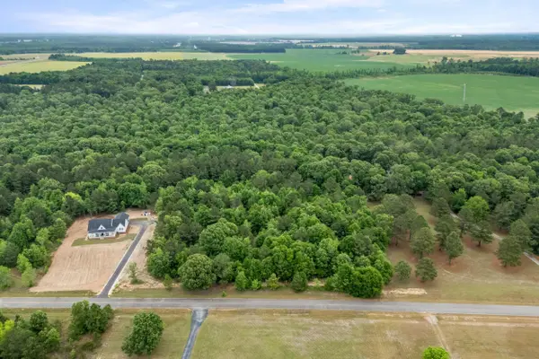 0 Sylvan Grove Road, Stapleton, GA 30823