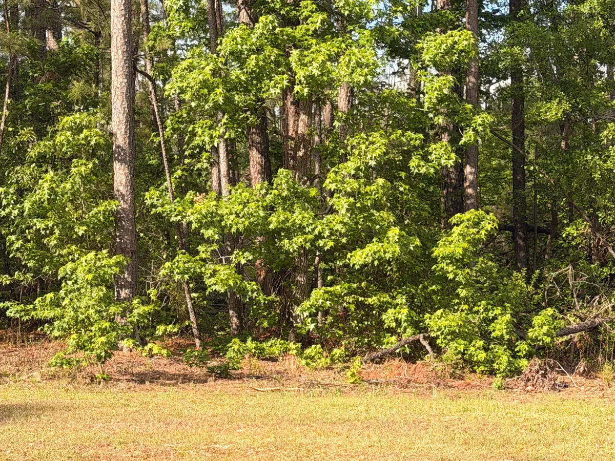 2943 Willis Foreman Road, Hephzibah, GA 30815 - #1