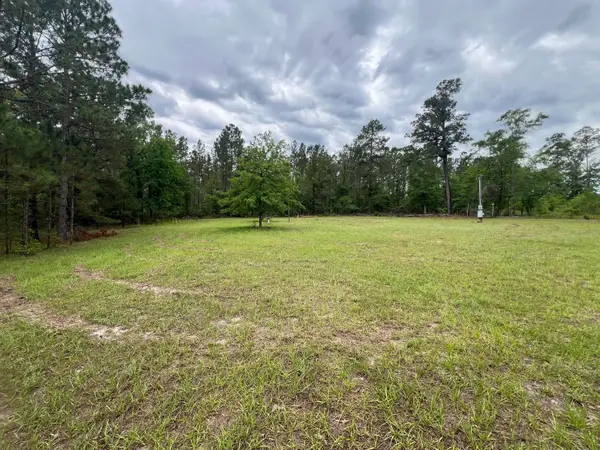 1494 Hiltonia Road, Millen, GA 30442