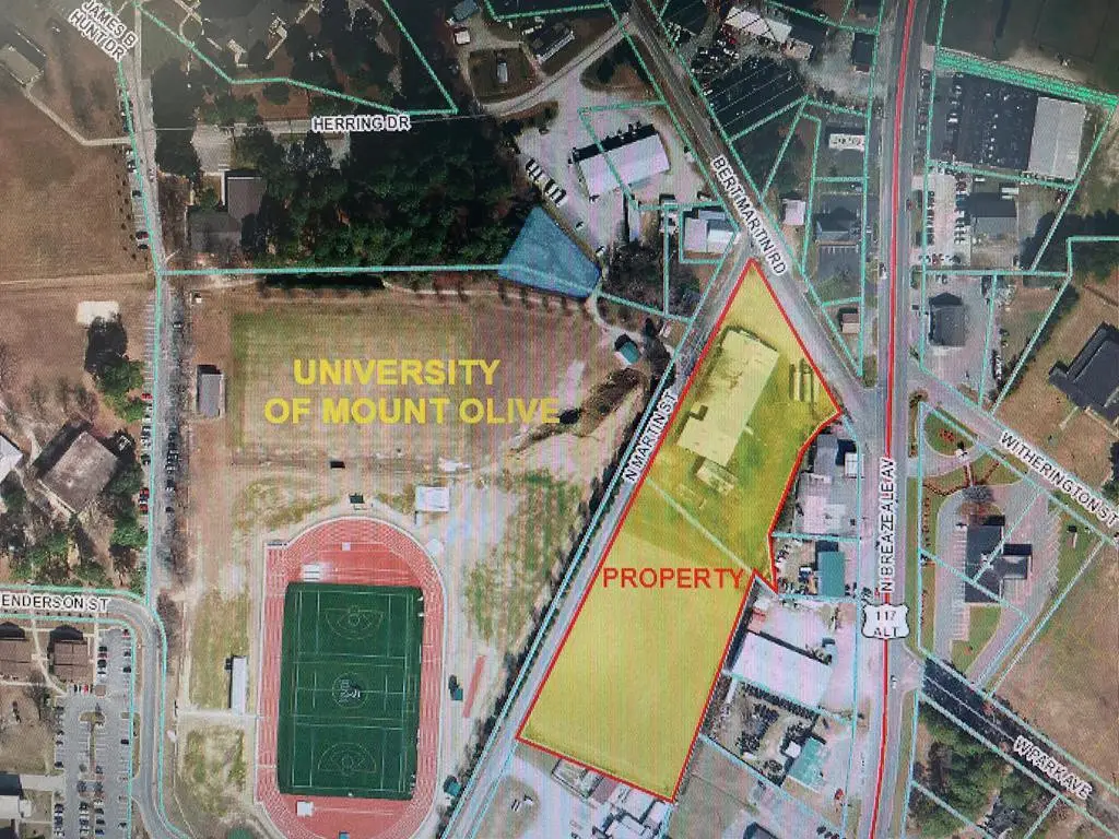 103 Bert Martin Road, Mount Olive, NC 28365 - #1