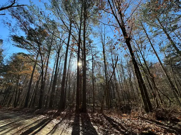 LOT 8 Saggus Road, Washington, GA 30673