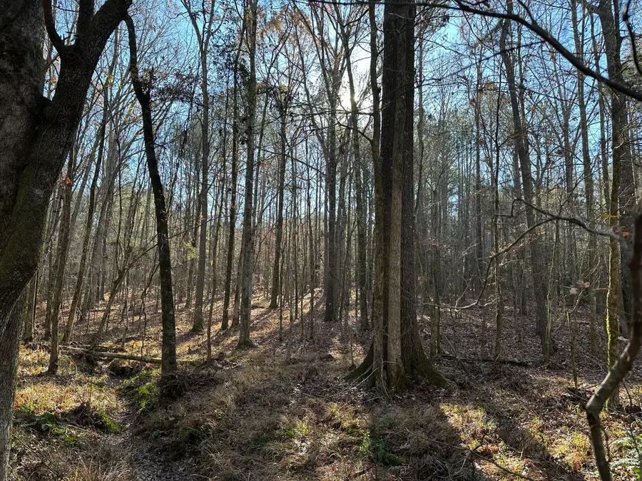 LOT 8 Saggus Road, Washington, GA 30673 - #3