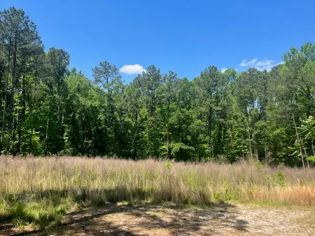 0000 Dooly Springs, Lincolnton, GA 30817 - #1