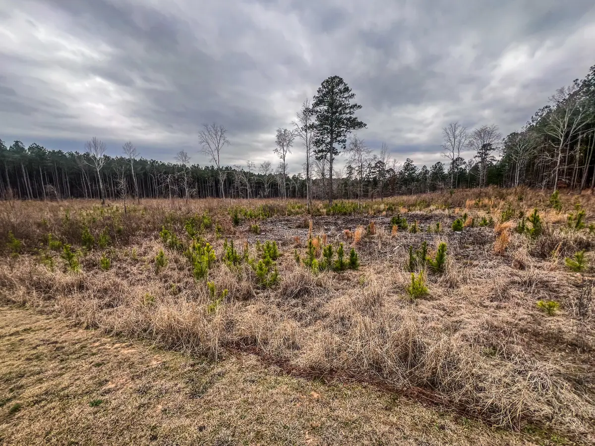 1016 Hidden Lake Court, Lincolnton, GA 30817 - #1