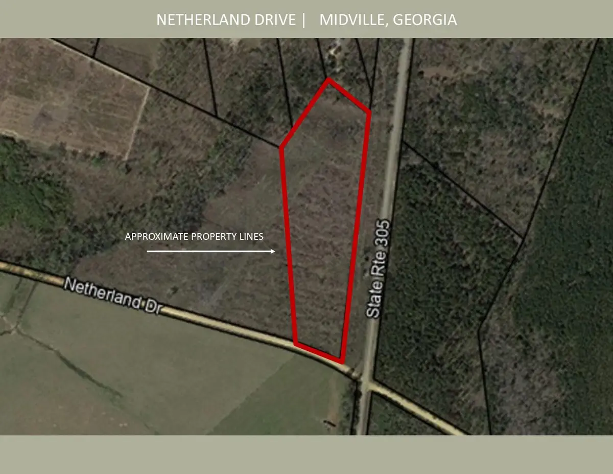 0 Netherland Drive, Midville, GA 30441 - #1