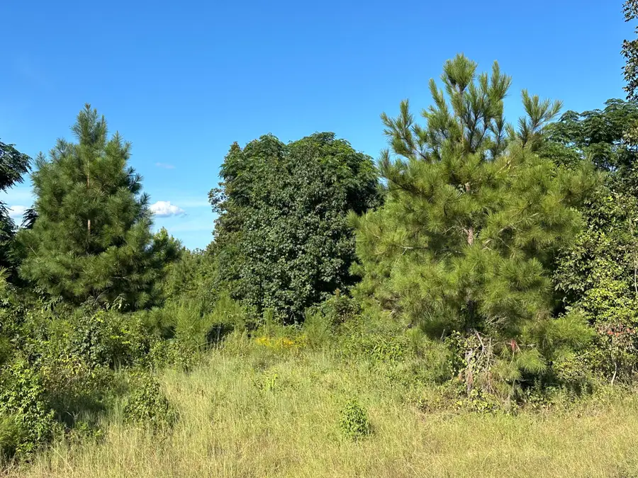 0 Netherland Drive, Midville, GA 30441 - #3