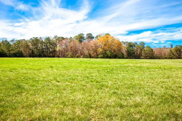 3530 Mistletoe Road, Appling, GA 30802