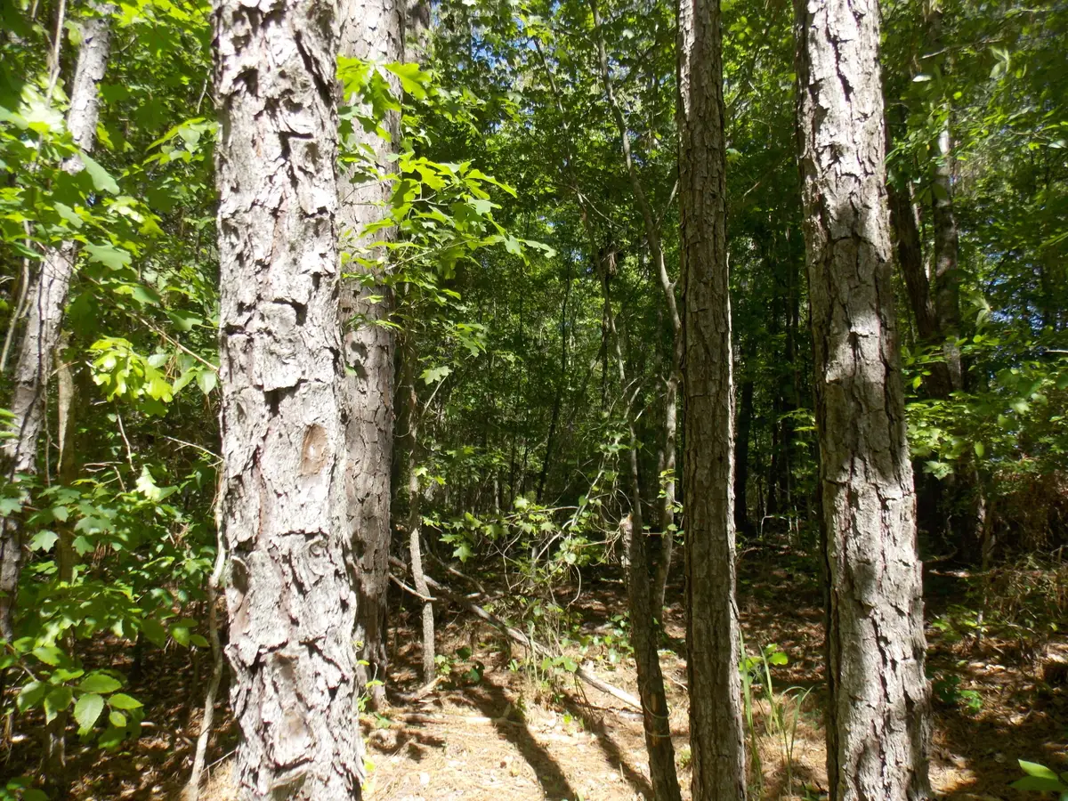 12 Doe Run, Lincolnton, GA 30817 - #1