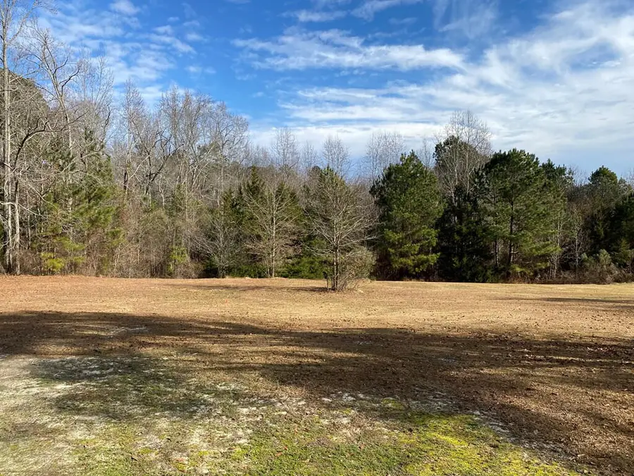 6384 Cobbham Road, Appling, GA 30802 - #3
