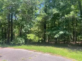 BL33 L29 Bordeaux Place, McCormick, SC 