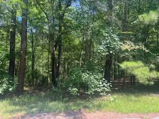 BL33 L29 Bordeaux Place, McCormick, SC  - #2