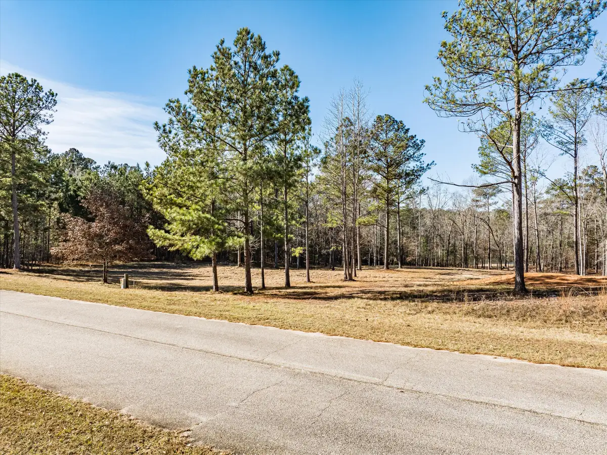 07 Savannah Bay Drive, Lincolnton, GA 30817 - #1