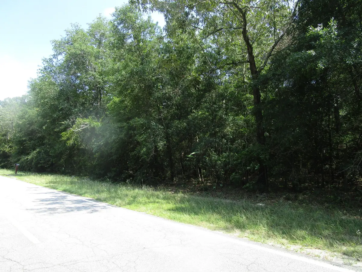 1436 Hephzibah Mcbean Road, Hephzibah, GA 30815 - #1