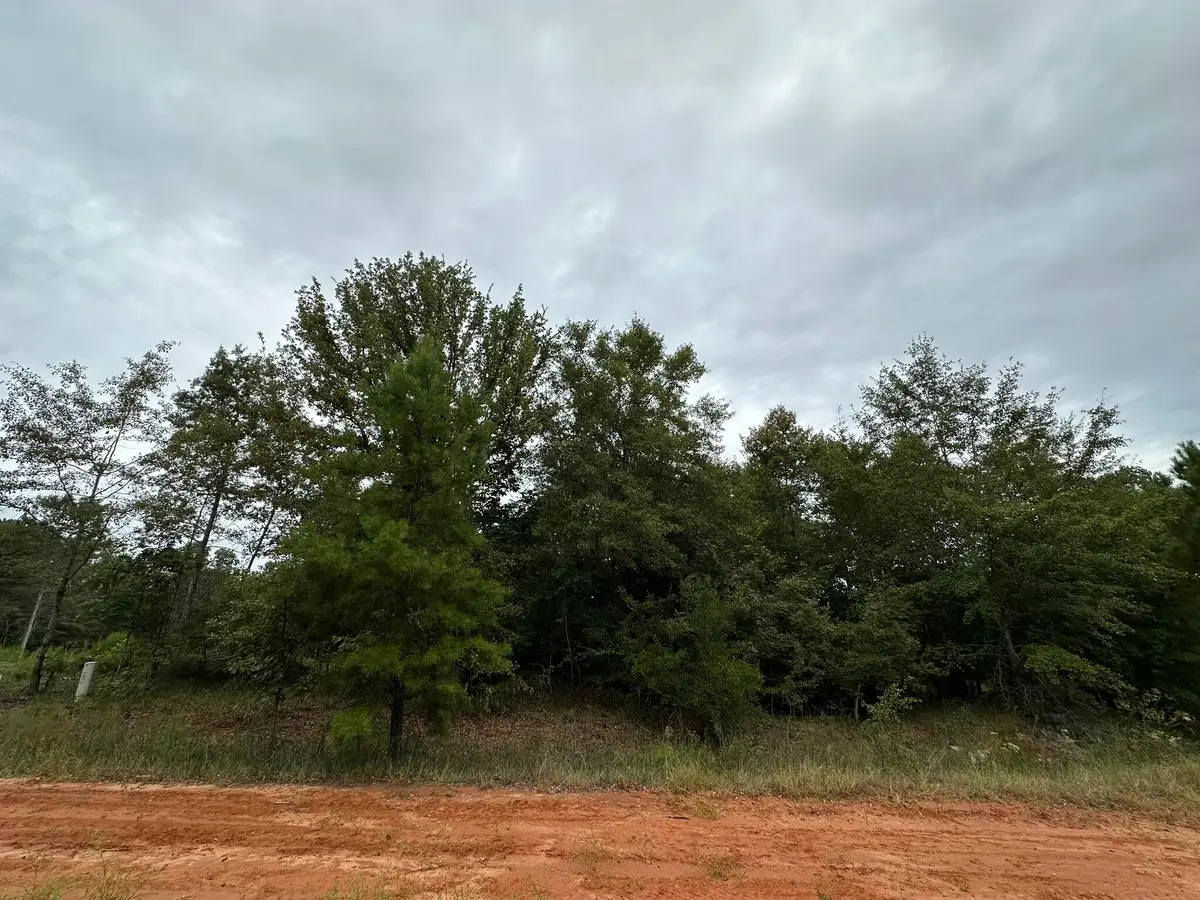 0-36 Nelson Court, Louisville, GA 30434 - #1