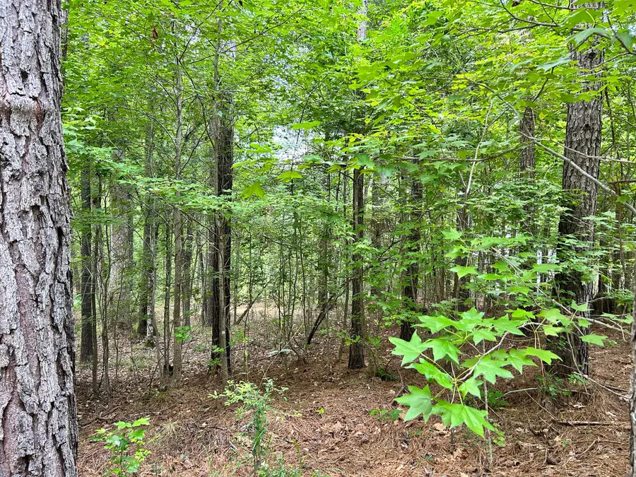 L9 B18 Grandview Drive, McCormick, SC  - #3