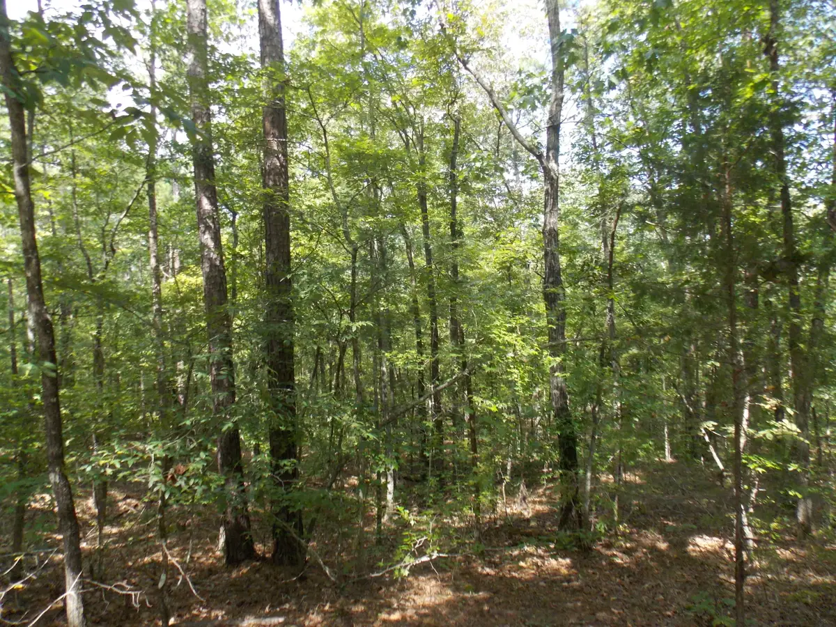 11 Doe Run, Lincolnton, GA 30817 - #1