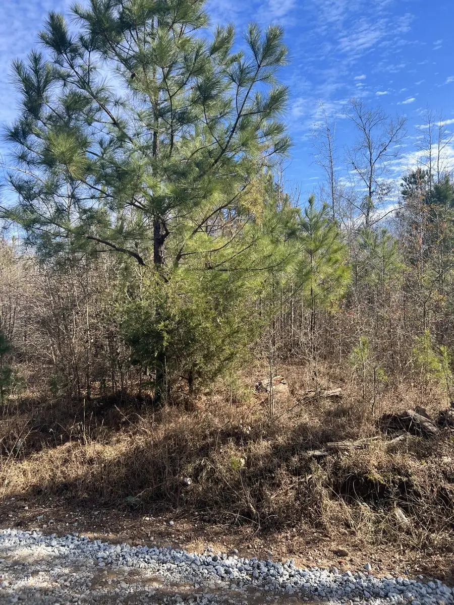 0 Clanton Road, Evans, GA 30809 - #3