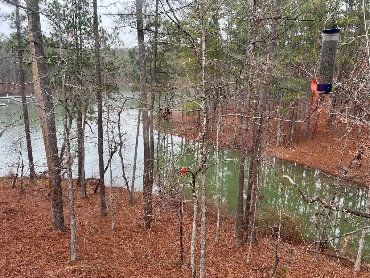 6-47 Superior Cove, McCormick, SC  - #1