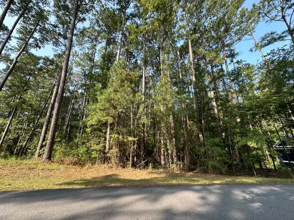 B14 L5 Tara Drive, McCormick, SC 
