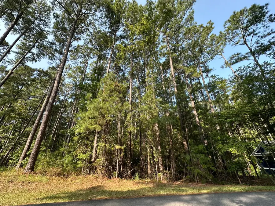 B14 L5 Tara Drive, McCormick, SC 29835 - #2