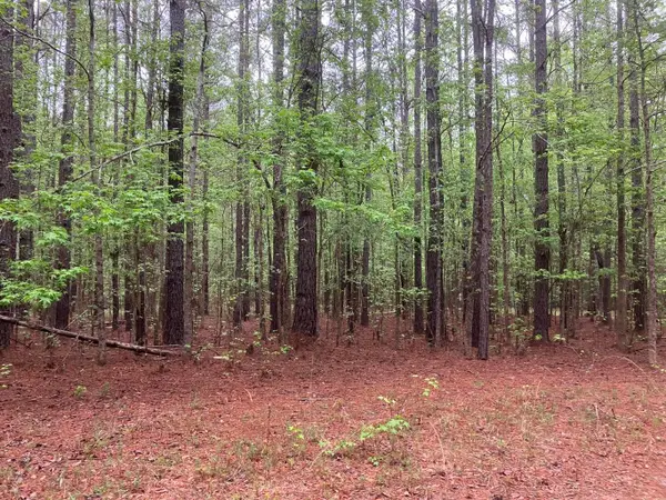 0 Gales Road, Appling, GA 30802