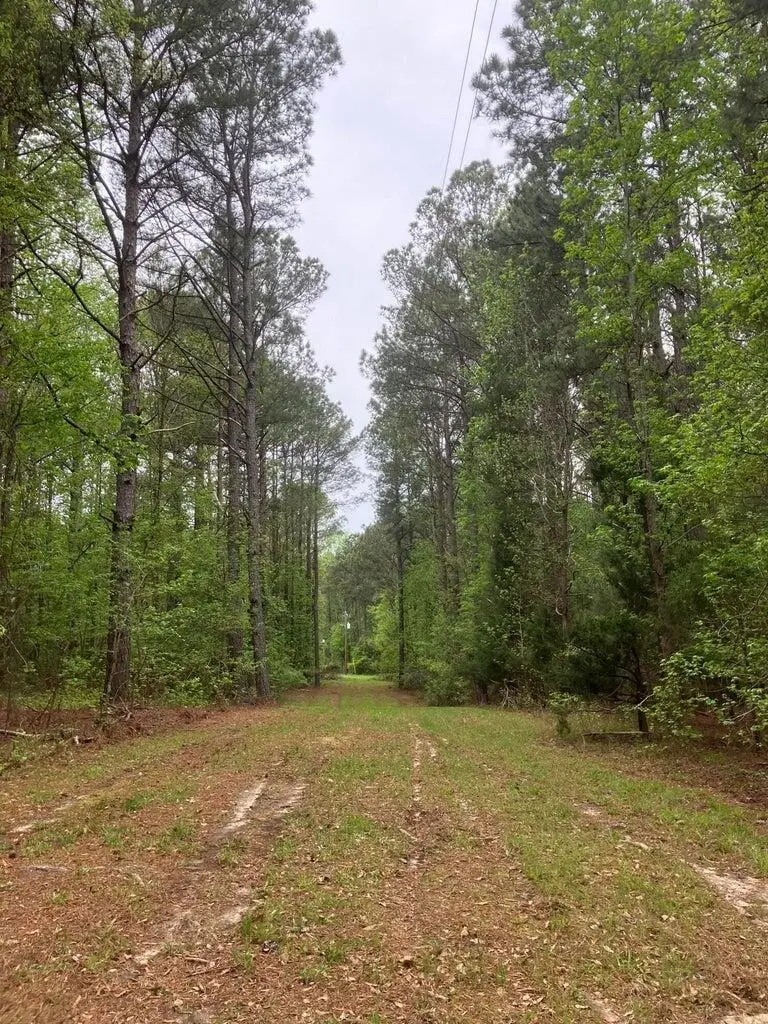 0 Gales Road, Appling, GA 30802 - #2