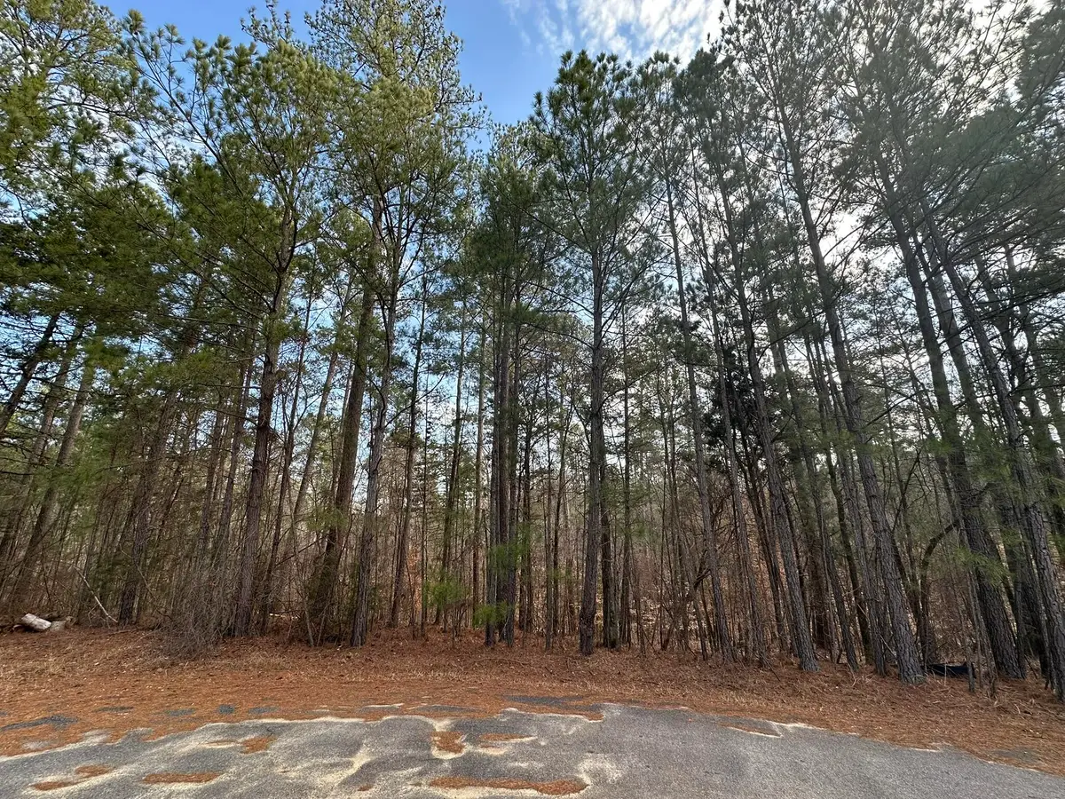 B63  L27 Half Moon Lane, McCormick, SC  - #1