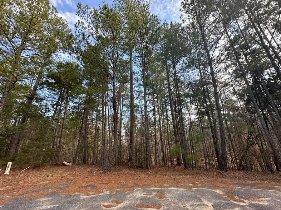 B63  L27 Half Moon Lane, McCormick, SC  - #2