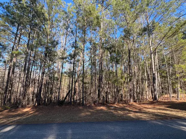 24-17 Madison Dr. Drive, McCormick, SC 