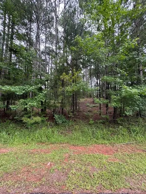 L3, B66 Crescent Drive, McCormick, SC  - #2